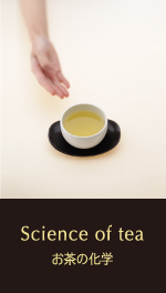 Science of tea お茶の化学